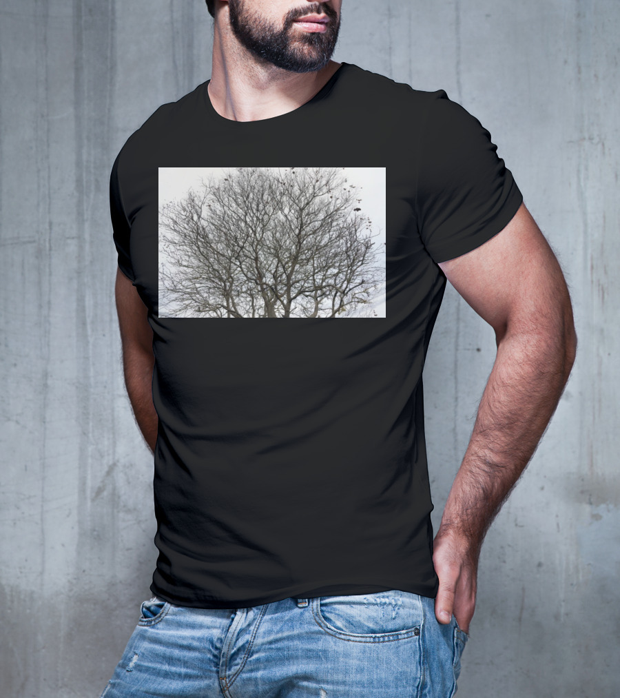 Winters Tracery Bare Tree Branches In Overcast Grey Sky T-Shirt