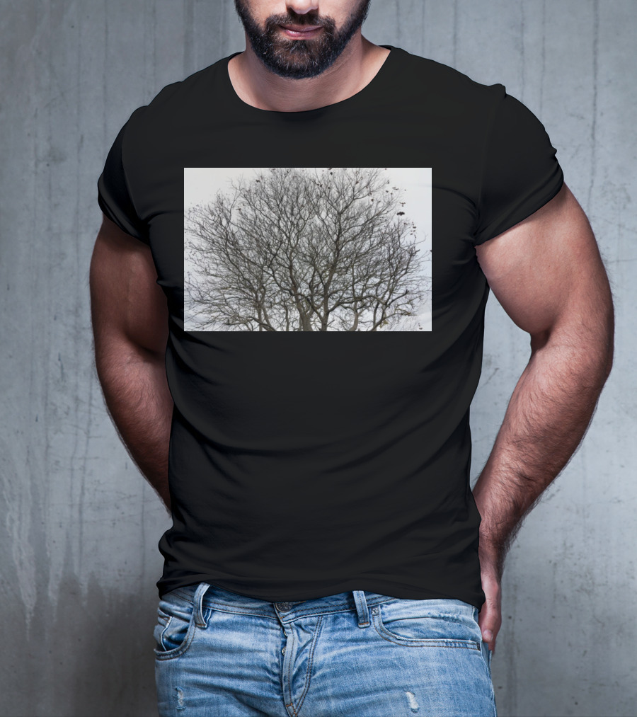 Winters Tracery Bare Tree Branches In Overcast Grey Sky T-Shirt