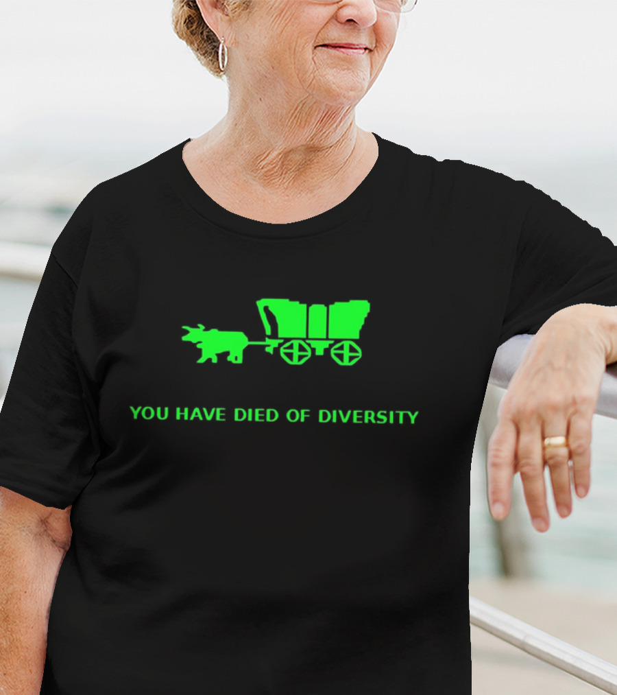 You Have Died Of Diversity Oregon Trail Pixel T-Shirt