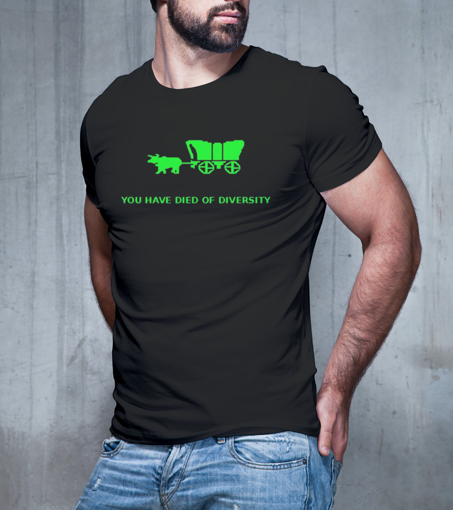 You Have Died Of Diversity Oregon Trail Pixel T-Shirt