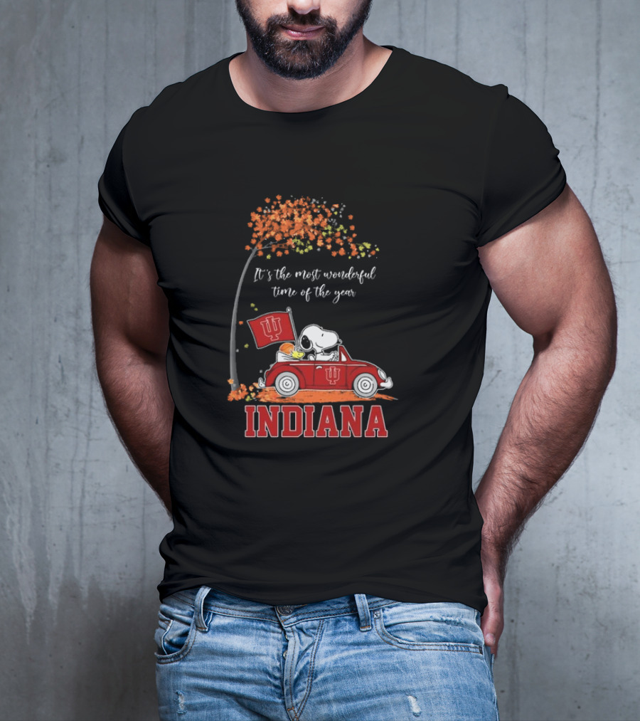 Indiana Hoosiers Snoopy And Woodstock Driving Car Fall It’s The Most Wonderful Time Of The Year T-Shirt