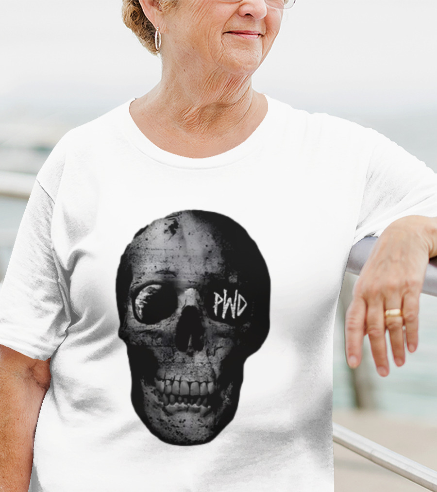 PWD Parkway Drive Dark Days 2012 Atlas Skull Image T-Shirt