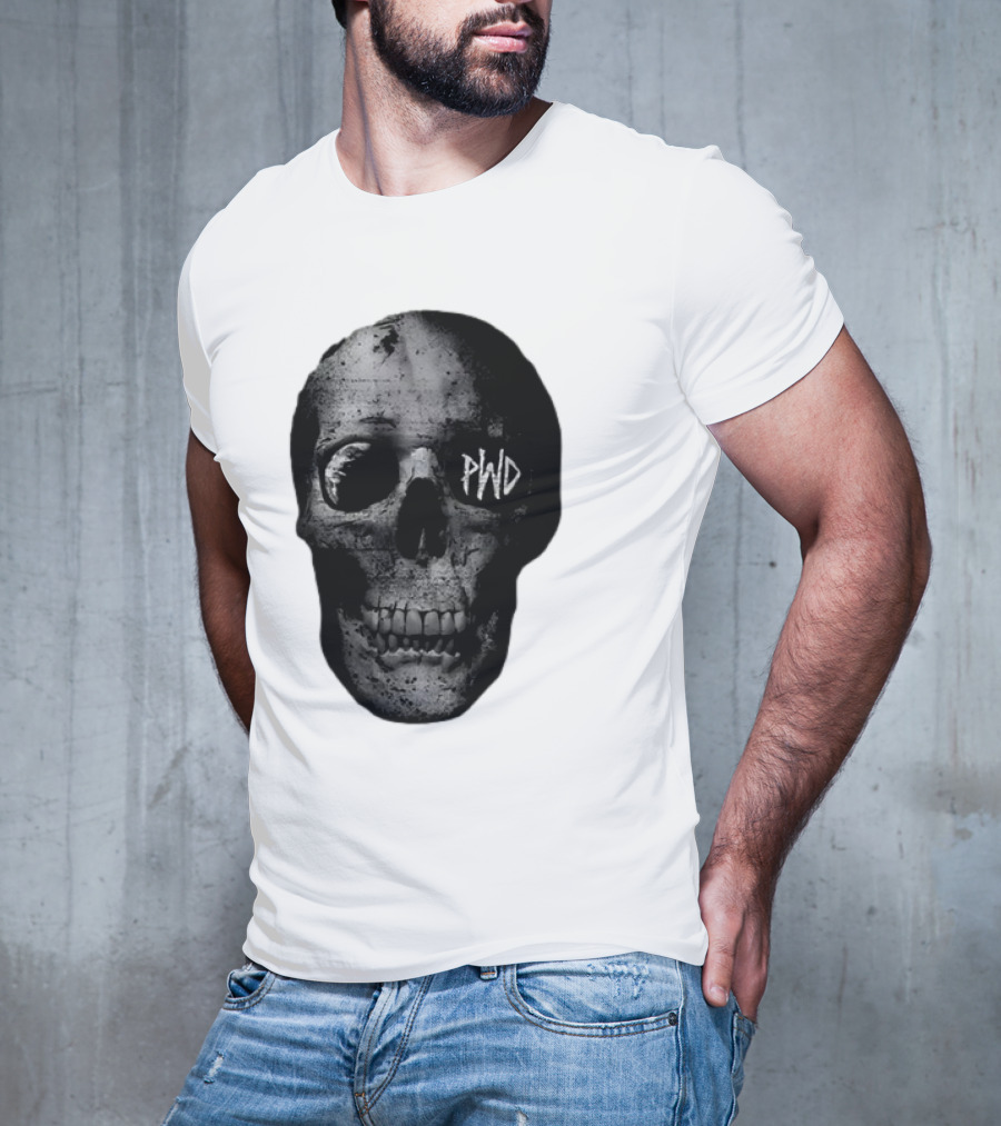 PWD Parkway Drive Dark Days 2012 Atlas Skull Image T-Shirt