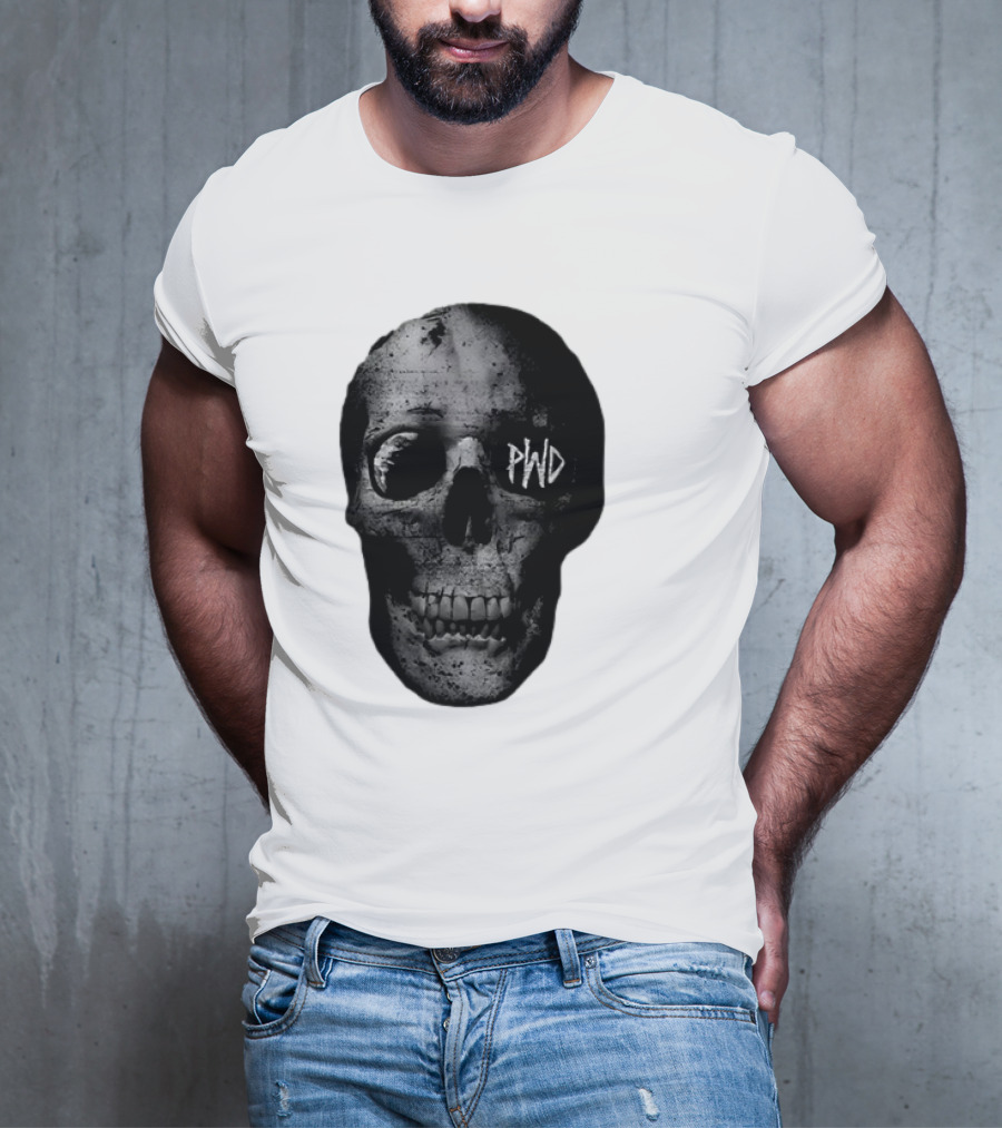 PWD Parkway Drive Dark Days 2012 Atlas Skull Image T-Shirt