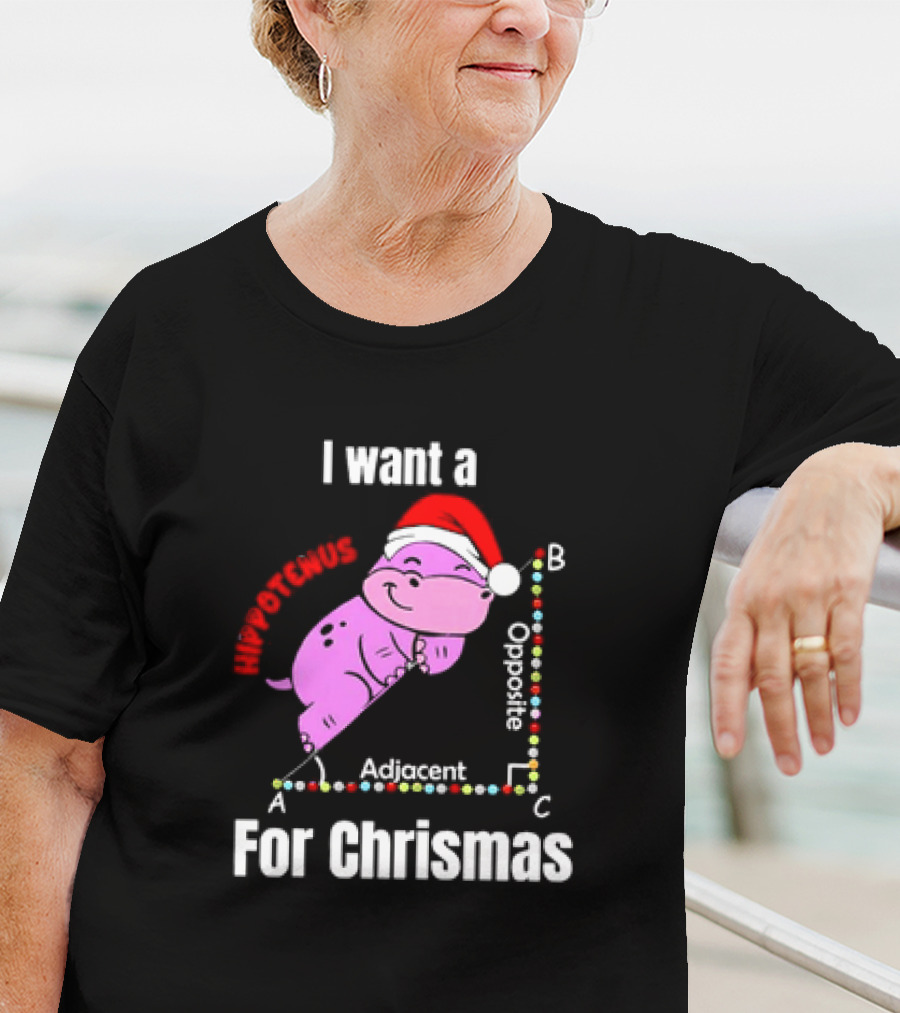 I Want A Hippotenuse ABC Adjacent Opposite For Christmas Cute Hippo T-Shirt