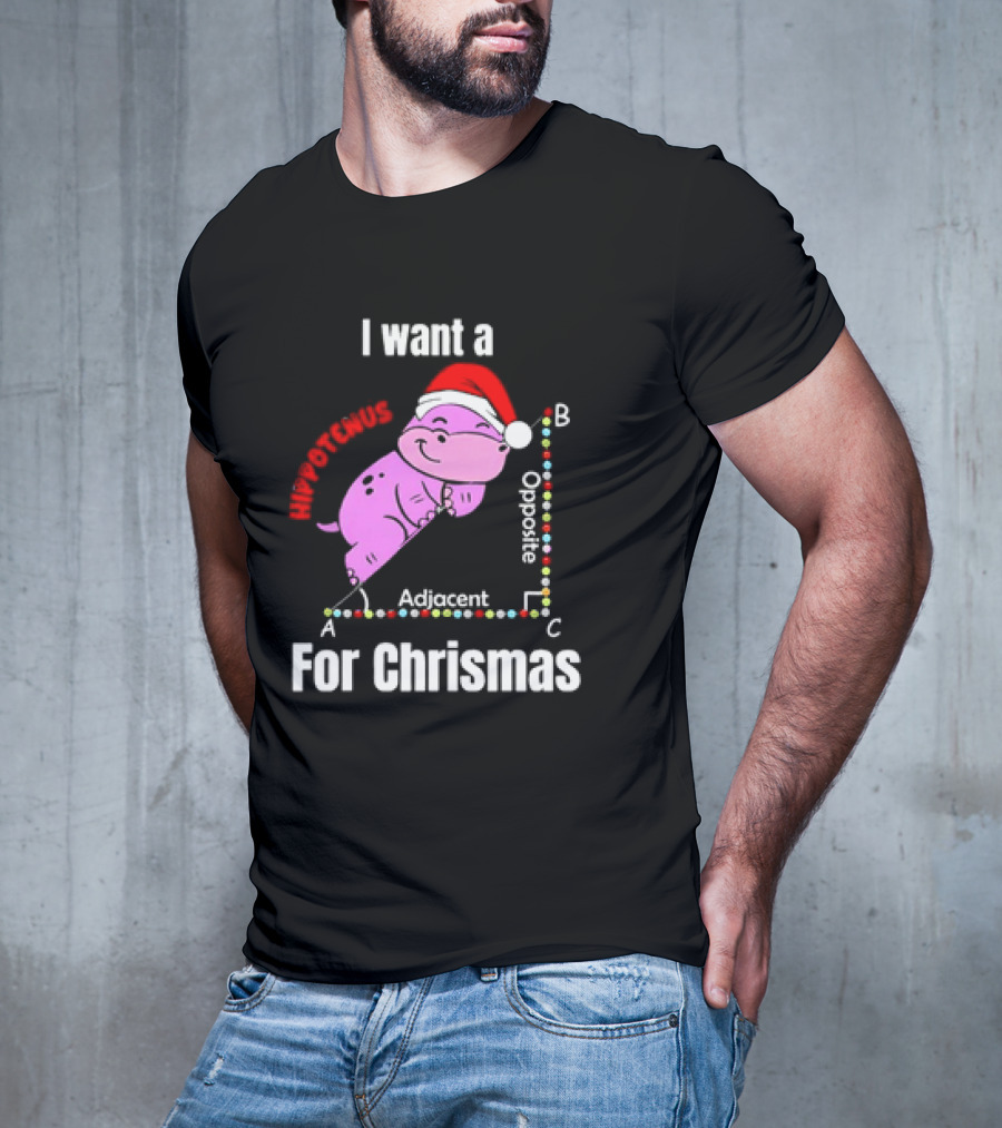 I Want A Hippotenuse ABC Adjacent Opposite For Christmas Cute Hippo T-Shirt