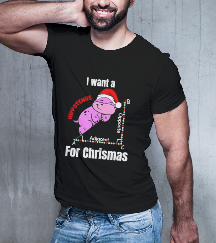 I Want A Hippotenuse ABC Adjacent Opposite For Christmas Cute Hippo T-Shirt
