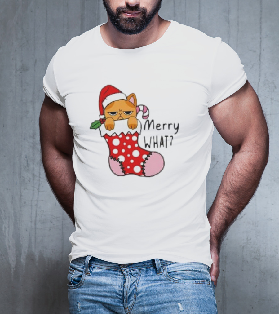 Merry What Cat In Santa Hat Christmas Stocking T-Shirt