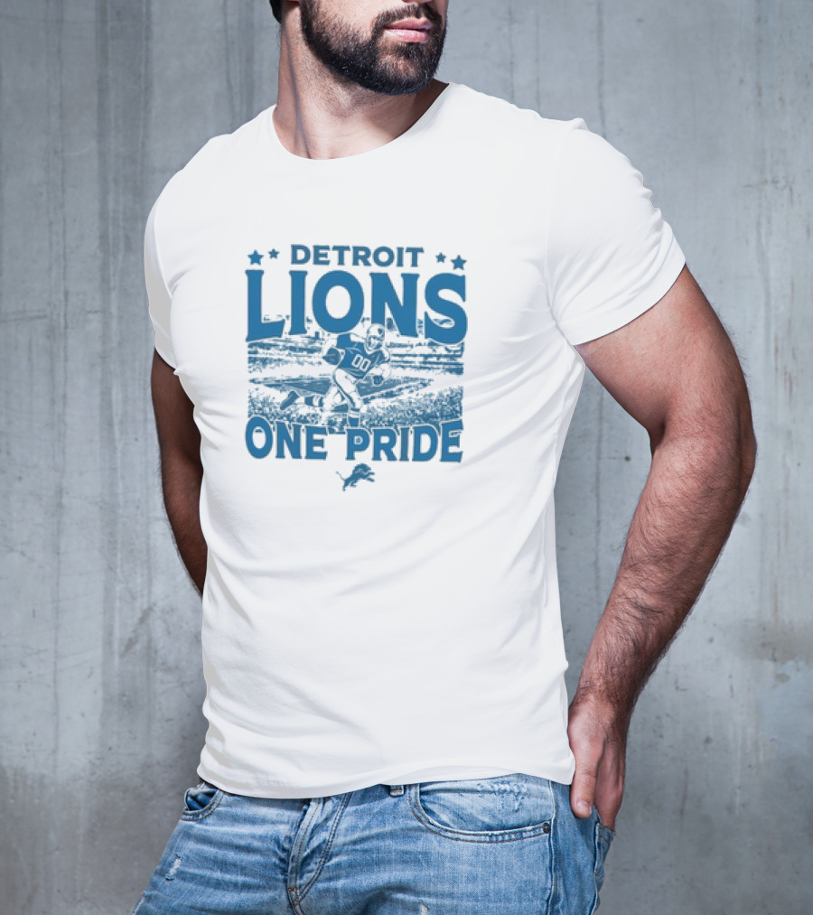 Detroit Lions One Pride Vintage Stadium Gameday T-Shirt