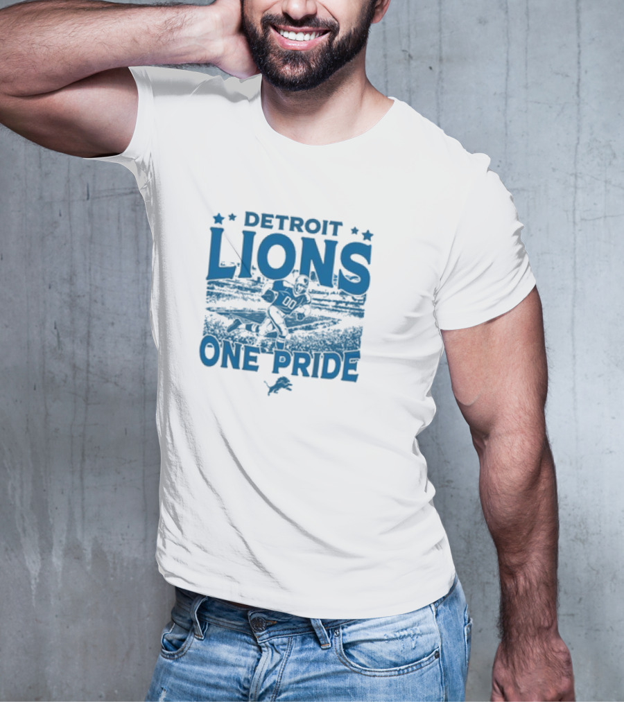 Detroit Lions One Pride Vintage Stadium Gameday T-Shirt