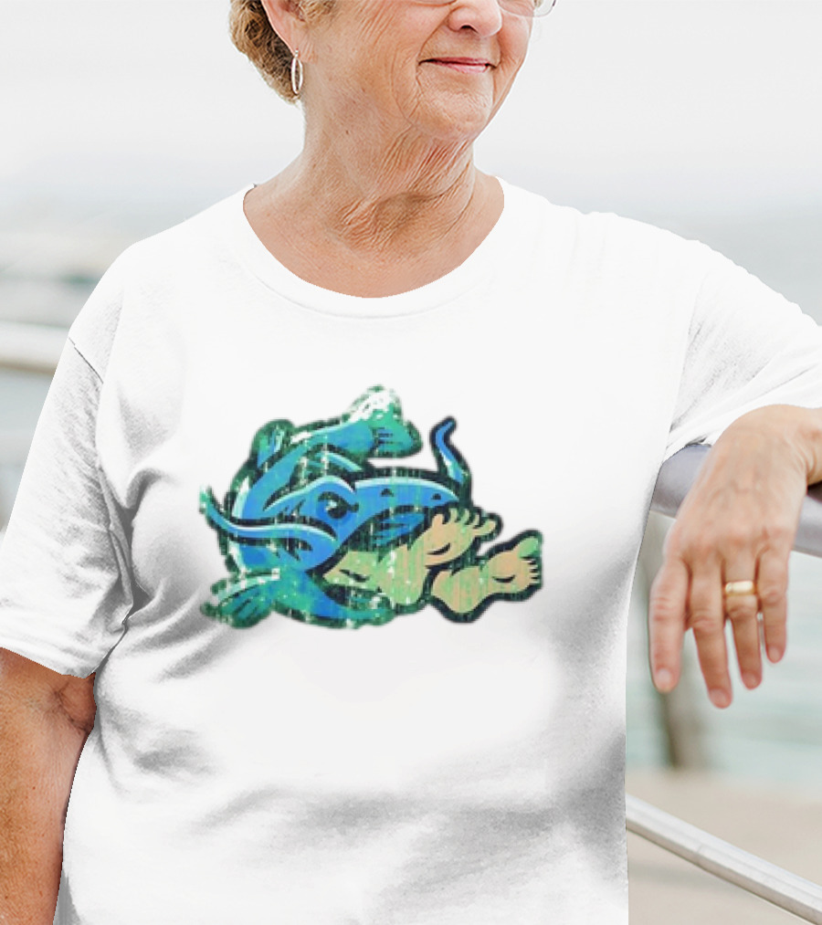 Noodlers Distressed Swimming Meme T-Shirt