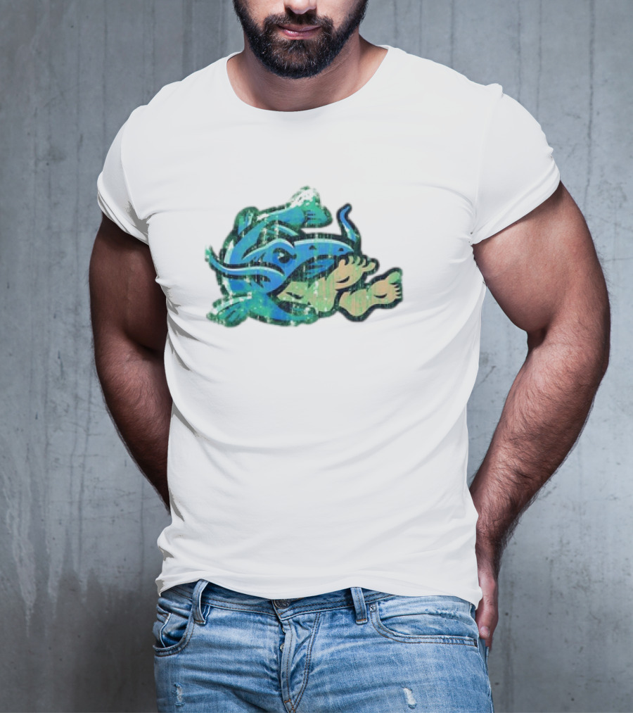 Noodlers Distressed Swimming Meme T-Shirt