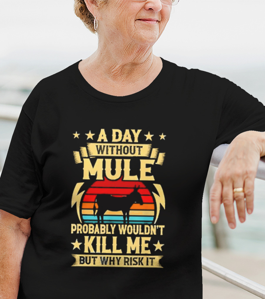 A Day Without Mule Probably Wouldn't Kill Me But Why Risk It Vintage Sunset T-Shirt
