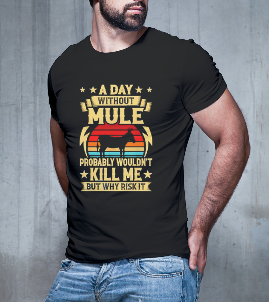 A Day Without Mule Probably Wouldn't Kill Me But Why Risk It Vintage Sunset T-Shirt