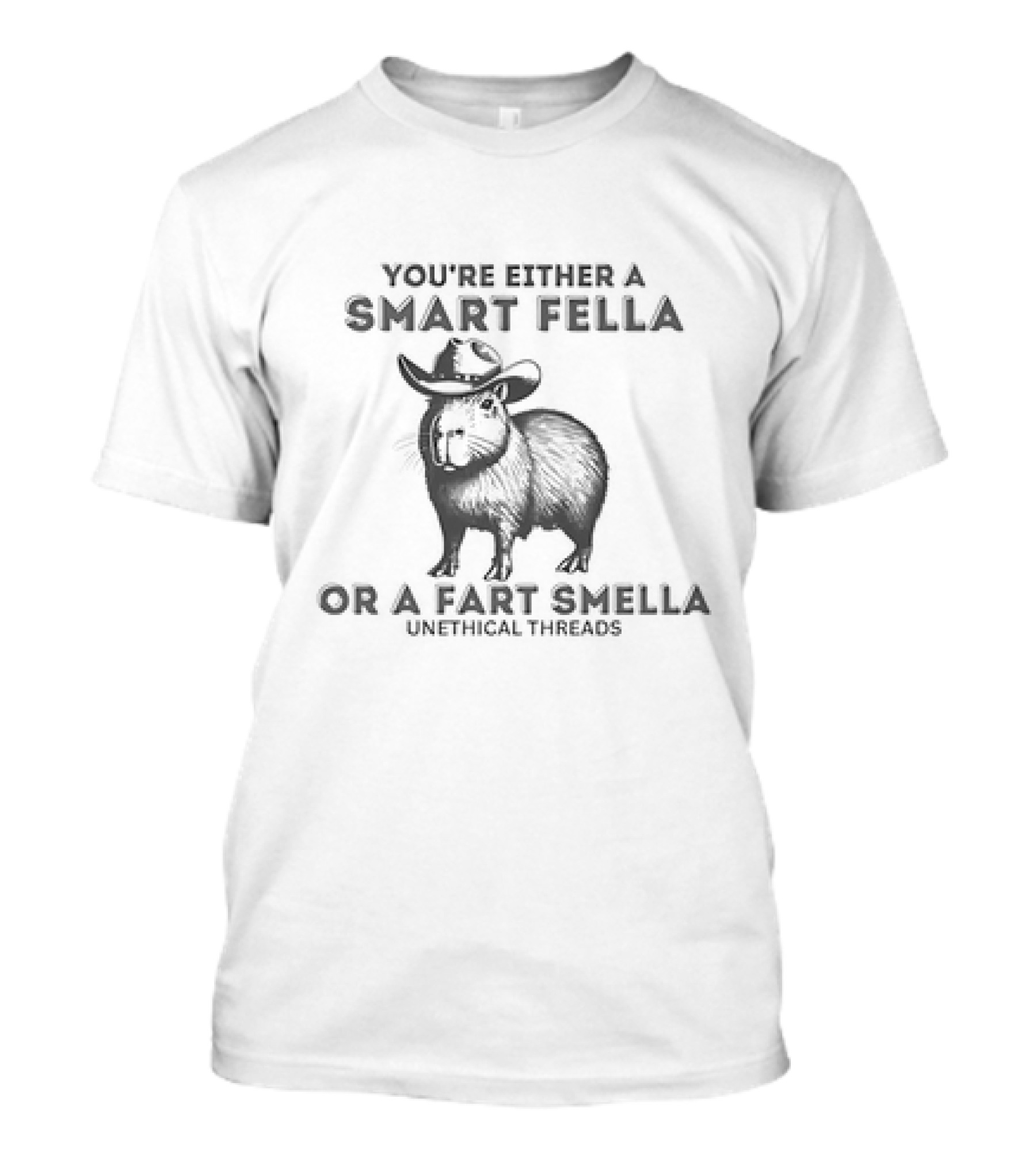 You're Either A Smart Fella Or A Fart Smella Capybara Cowboy Unethical Threads T-Shirt