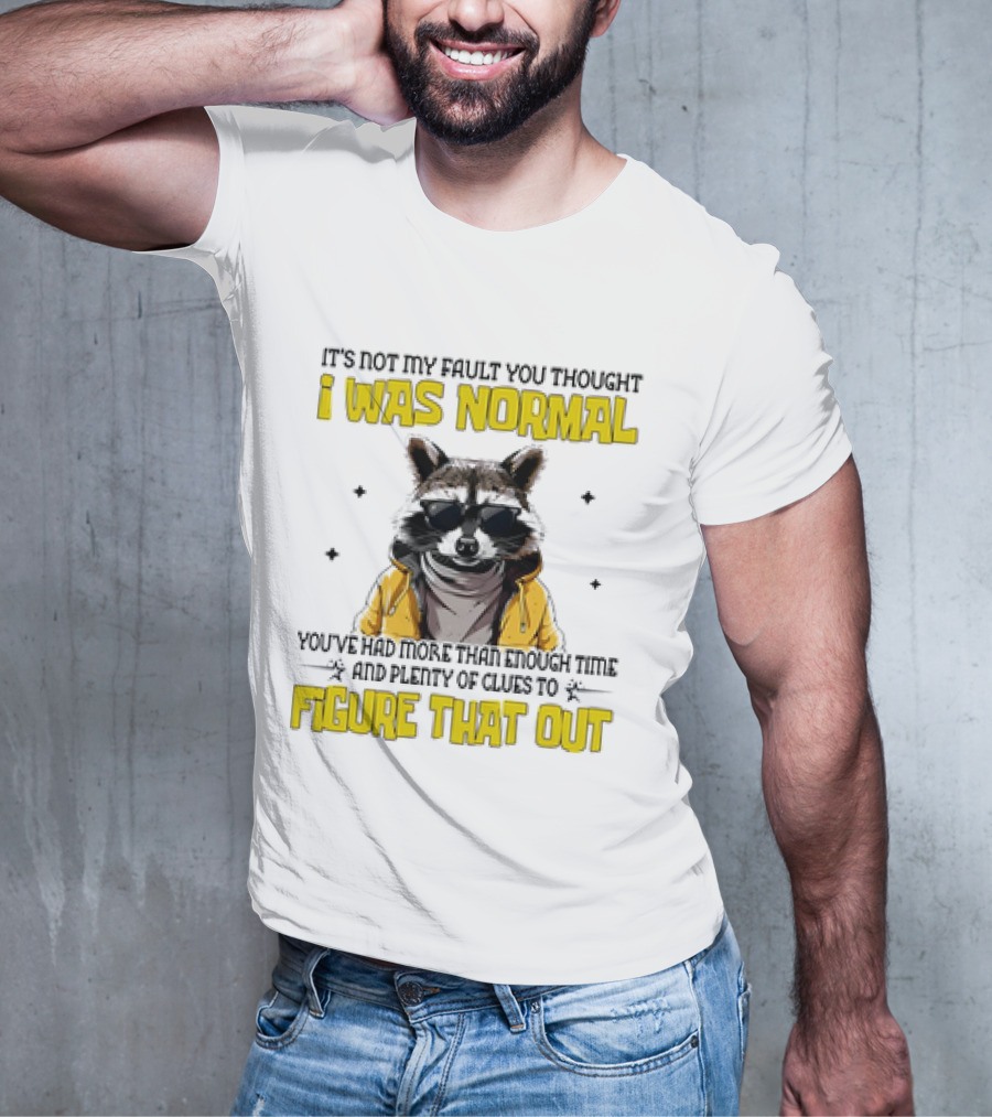 Raccoon It's Not My Fault You Thought I Was Normal You've Had More Than Enough Time And Plenty Of Clues To Figure That Out T-Shirt