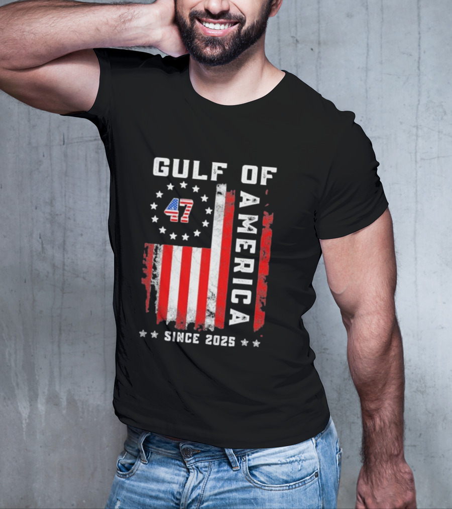 Gulf Of USA America Vintage USA Flag Grunged 2025 T-Shirt