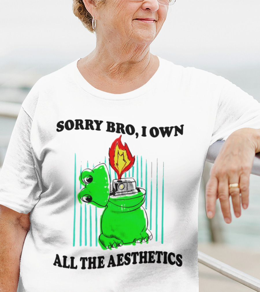 Sorry Bro I Own All The Aesthetics Melting Frog Lighter Flame T-Shirt