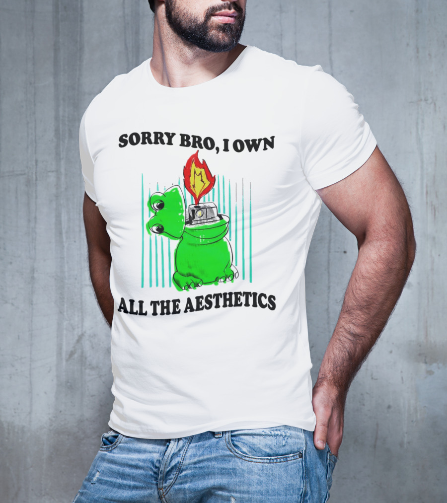Sorry Bro I Own All The Aesthetics Melting Frog Lighter Flame T-Shirt