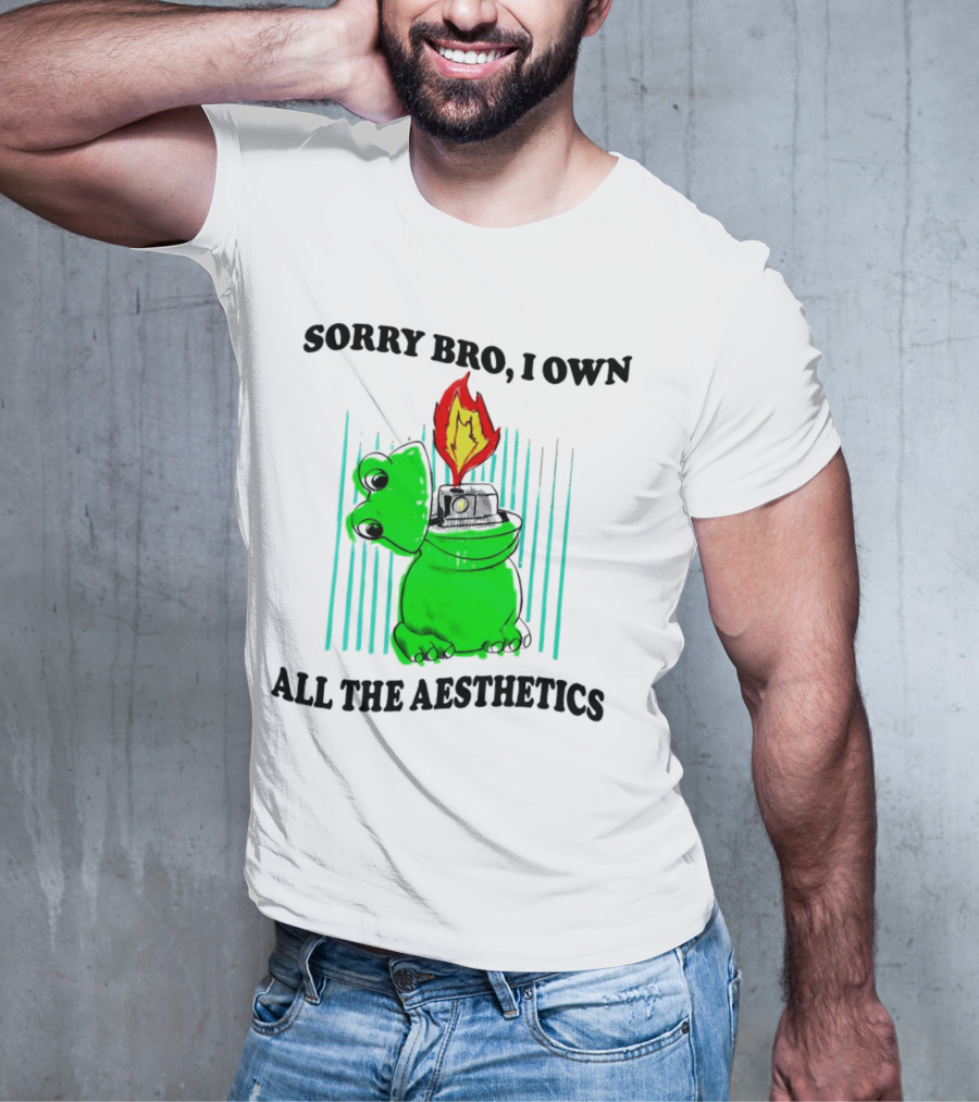 Sorry Bro I Own All The Aesthetics Melting Frog Lighter Flame T-Shirt