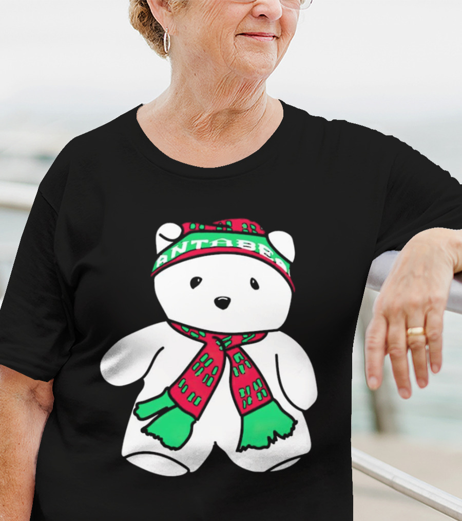 Santa Bear Minnesota Christmas Festive Holiday Teddy T-Shirt