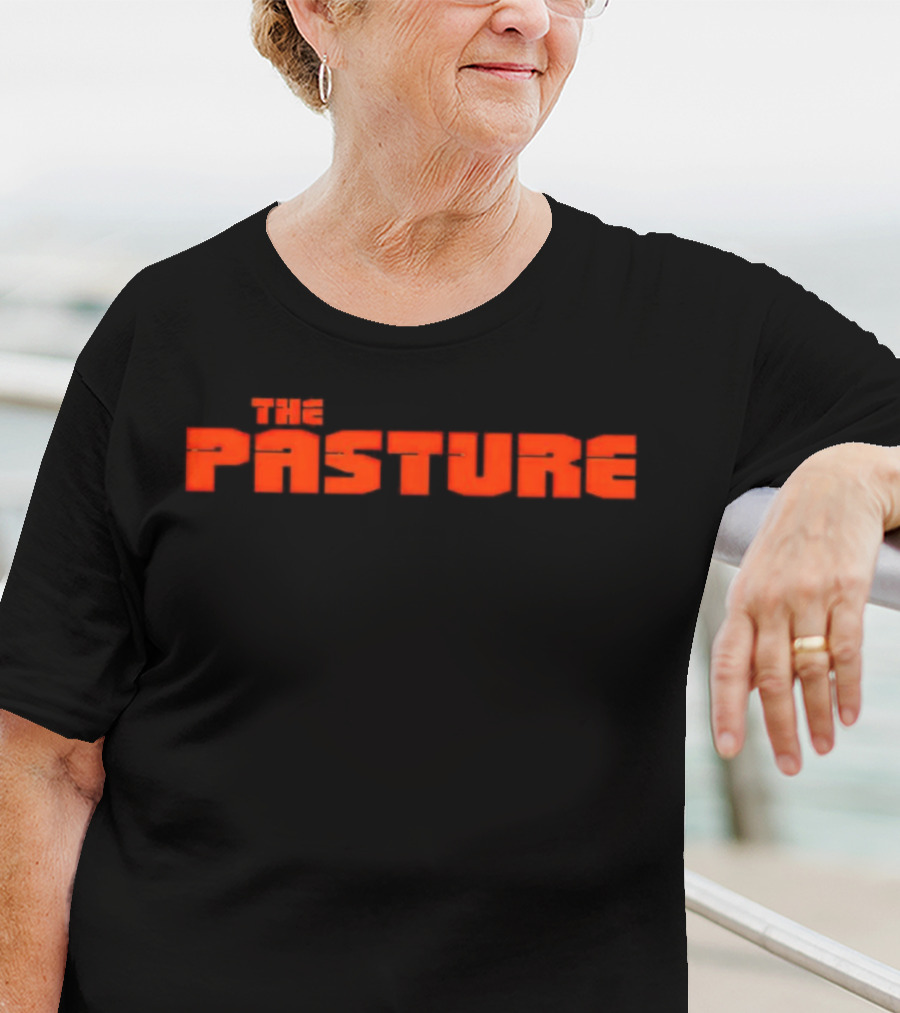 Baltimore Orioles The Pasture Retro Sports T-Shirt