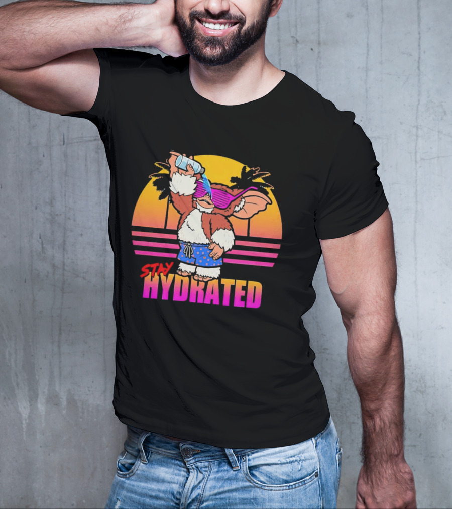 Stay Hydrated Gizmo Summer Beach Vibes With Sunset And Palm Trees T-Shirt