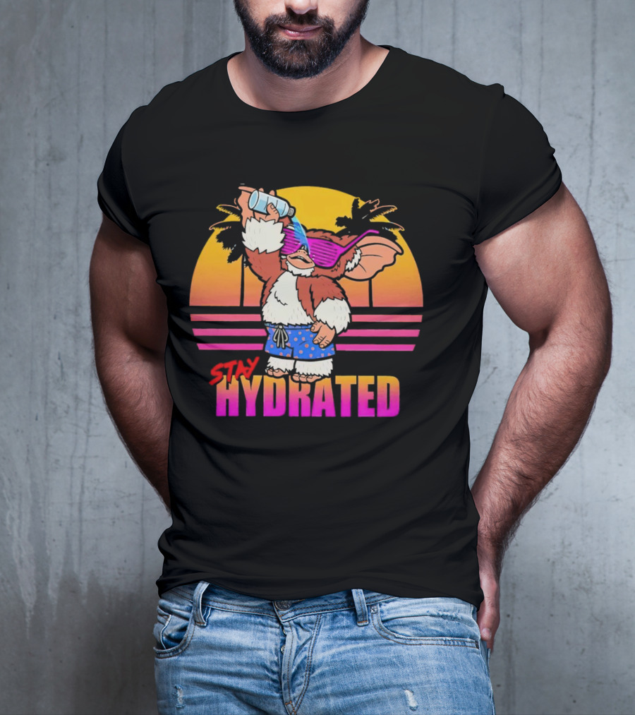Stay Hydrated Gizmo Summer Beach Vibes With Sunset And Palm Trees T-Shirt