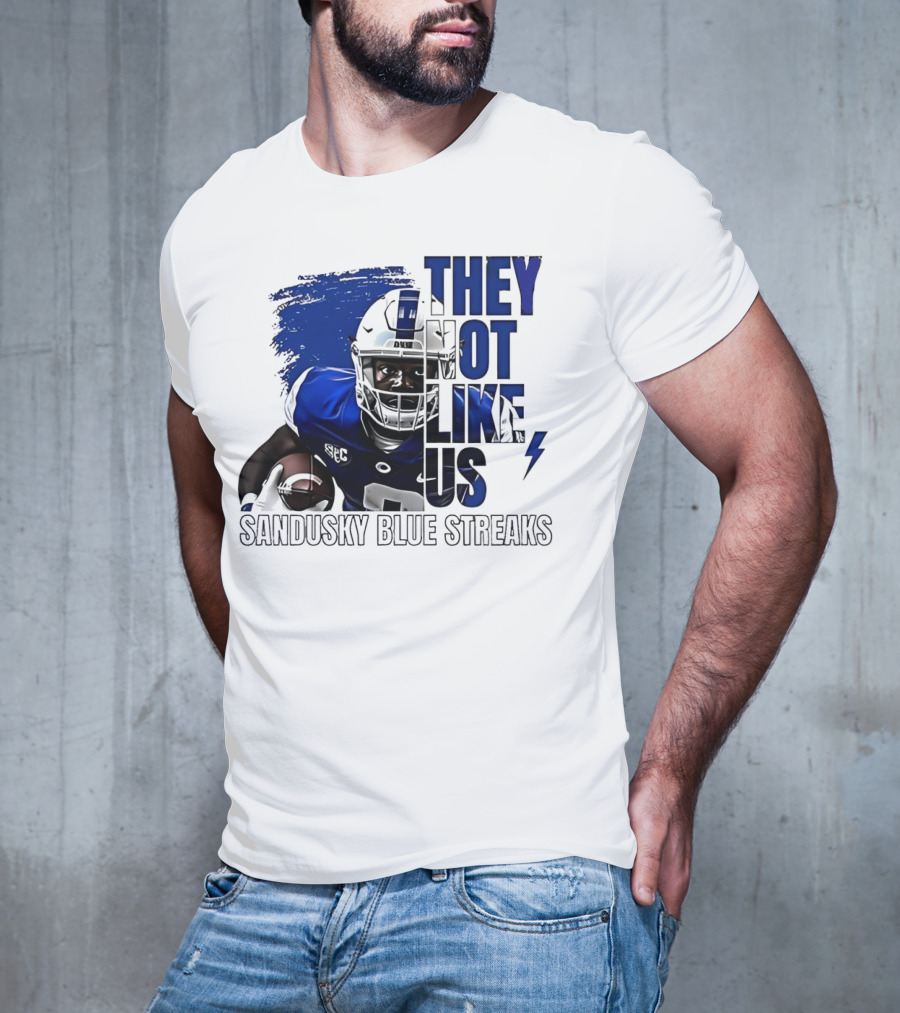 Sandusky Blue Streaks They Not Like Us Football Player Grunge T-Shirt
