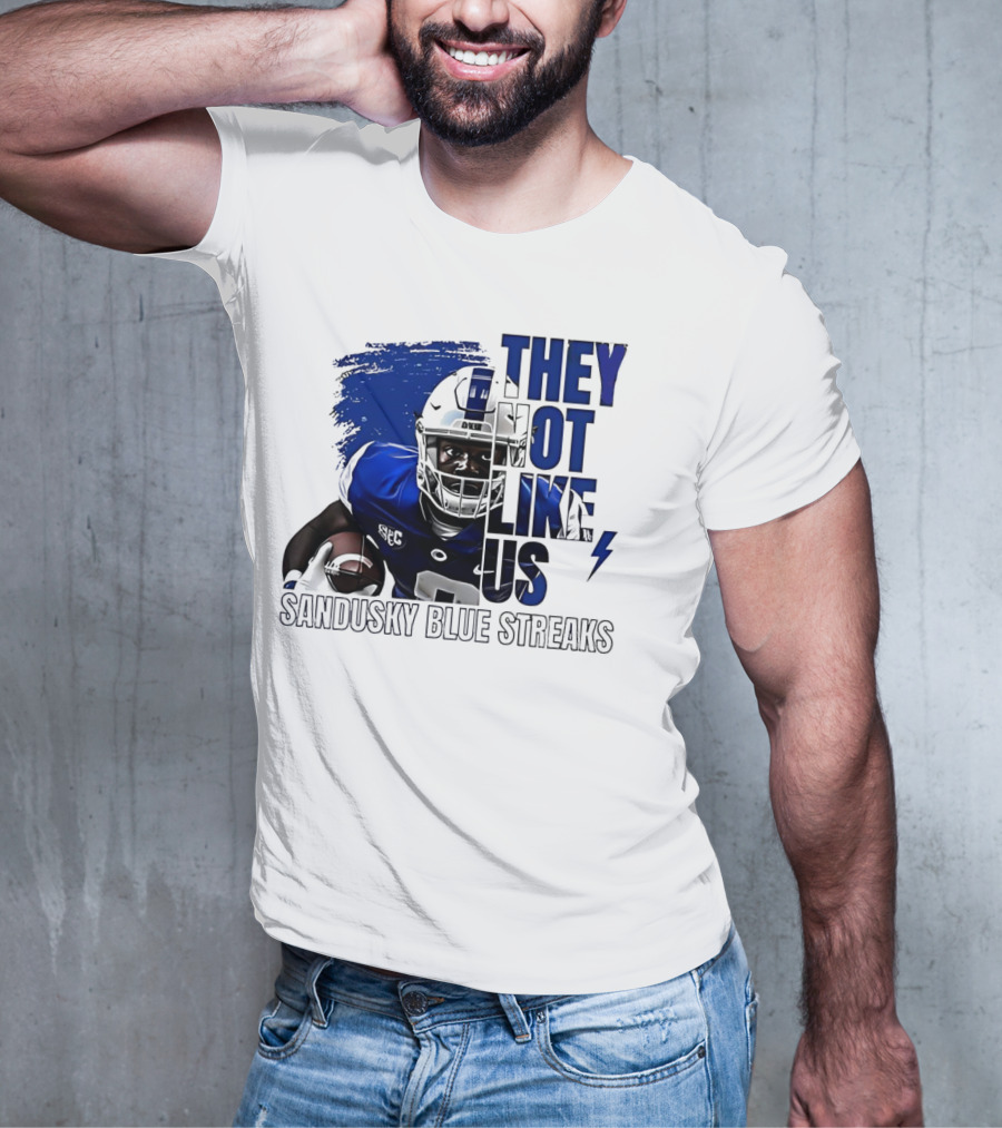 Sandusky Blue Streaks They Not Like Us Football Player Grunge T-Shirt