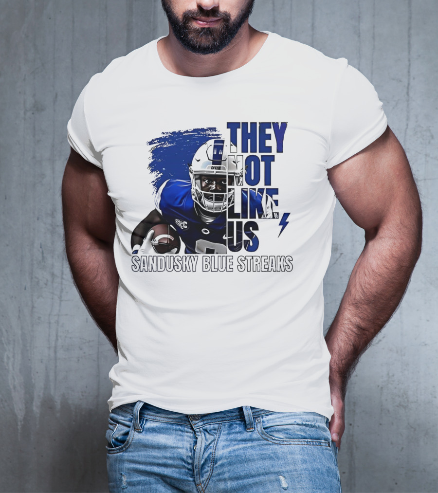 Sandusky Blue Streaks They Not Like Us Football Player Grunge T-Shirt