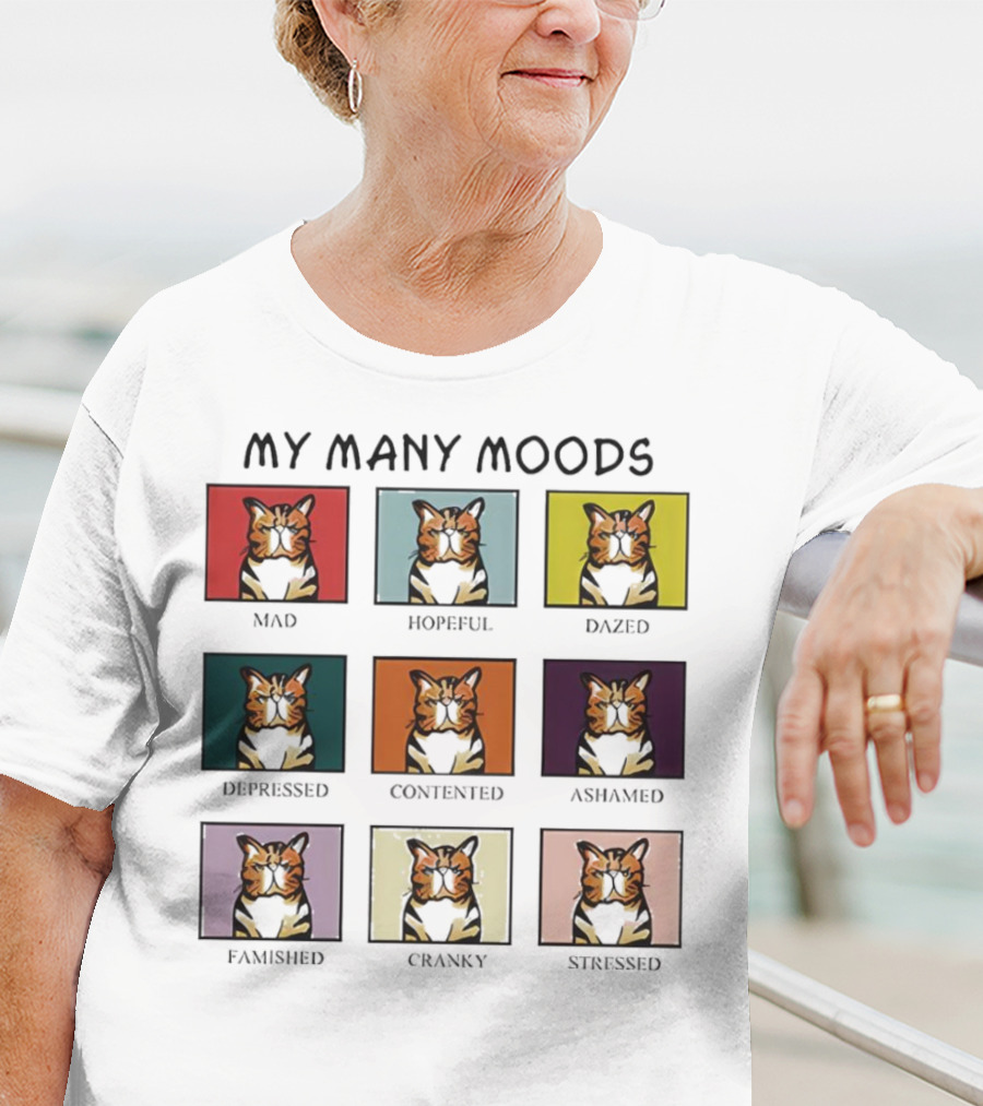 My Many Moods Mad Hopeful Dazed Depressed Contented Ashamed Famished Cranky Stressed T-Shirt