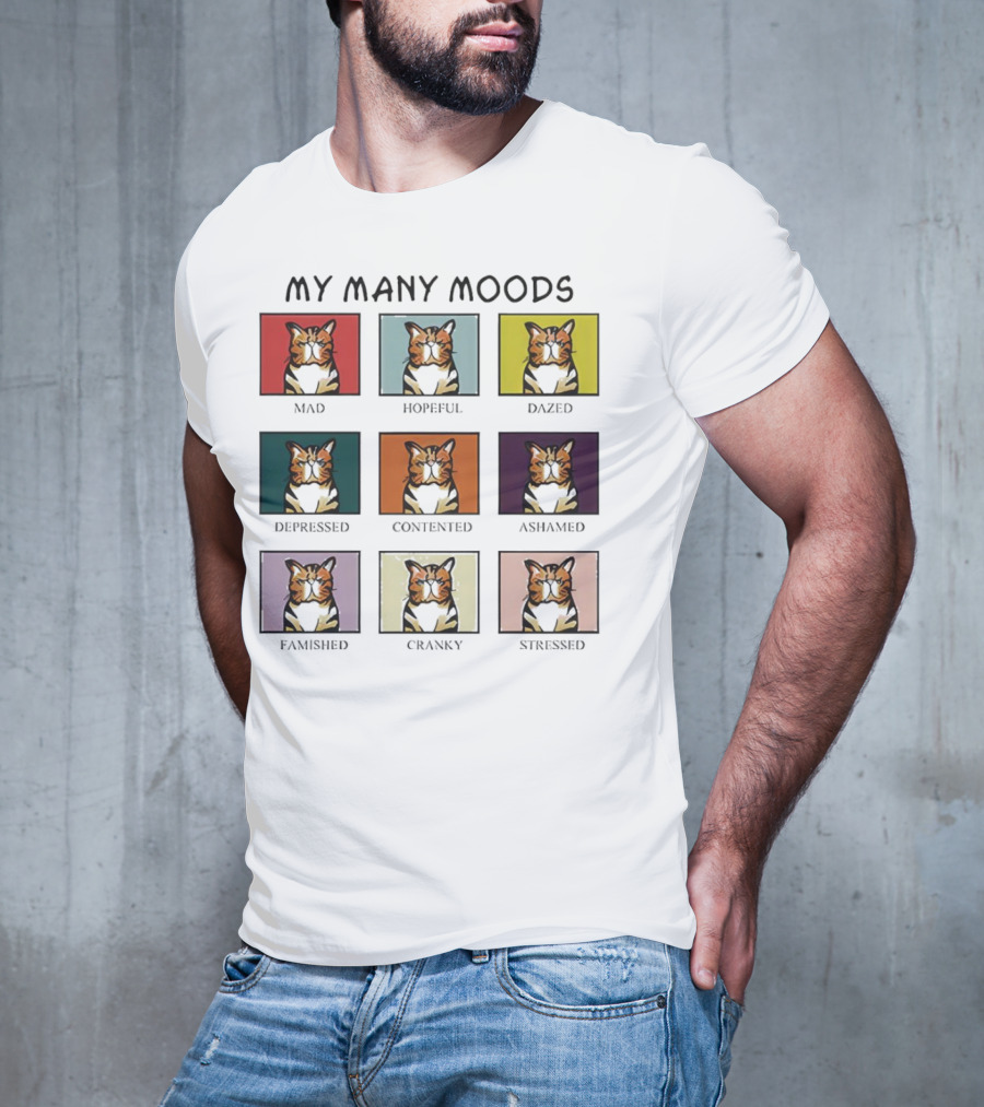 My Many Moods Mad Hopeful Dazed Depressed Contented Ashamed Famished Cranky Stressed T-Shirt