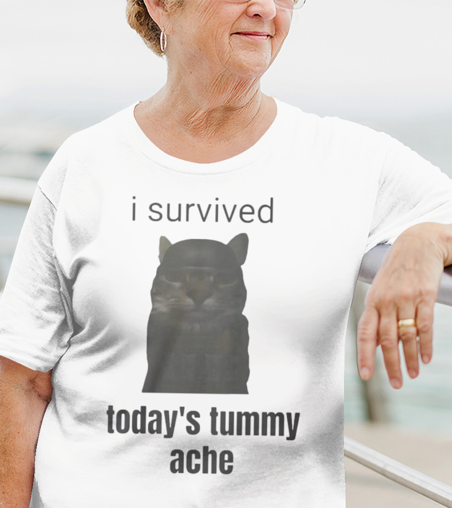 I Survived Today's Tummy Ache Cat Image T-Shirt