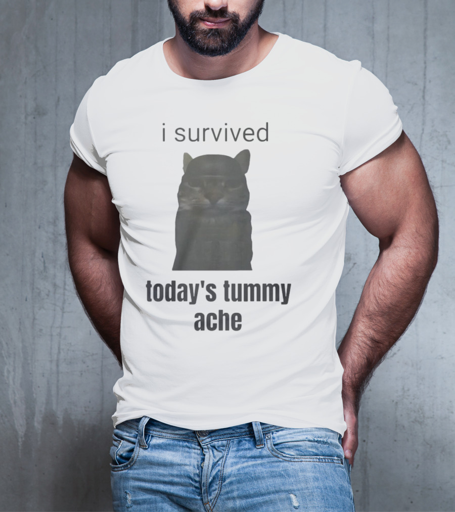 I Survived Today's Tummy Ache Cat Image T-Shirt
