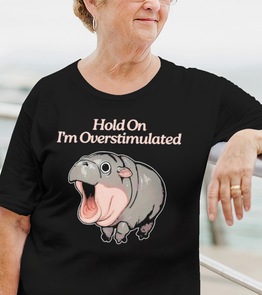 Hold On I'm Overstimulated Hippo T-Shirt