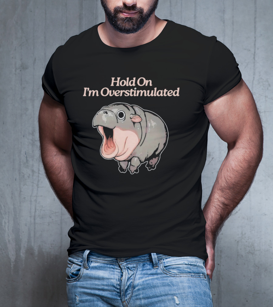 Hold On I'm Overstimulated Hippo T-Shirt