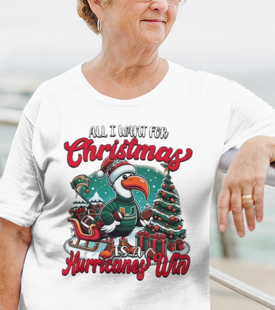 All I Want For Christmas Is A Hurricanes Win Santa Birdfest T-Shirt