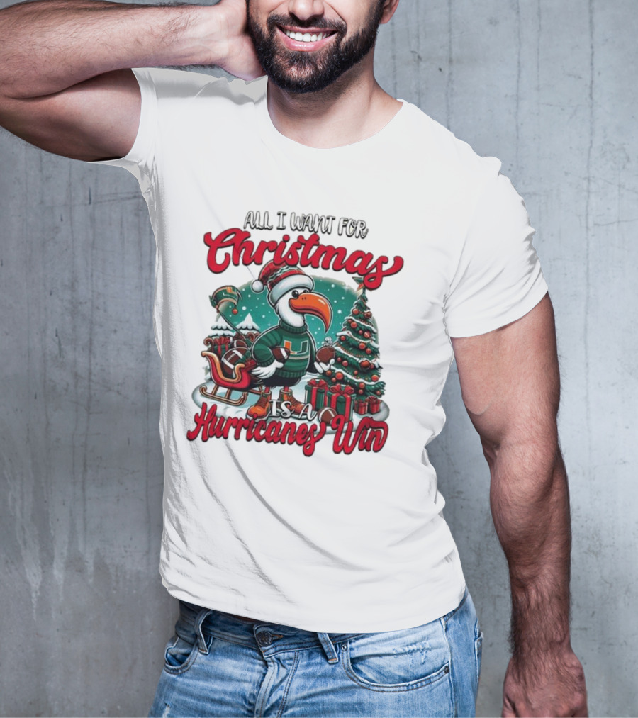 All I Want For Christmas Is A Hurricanes Win Santa Birdfest T-Shirt