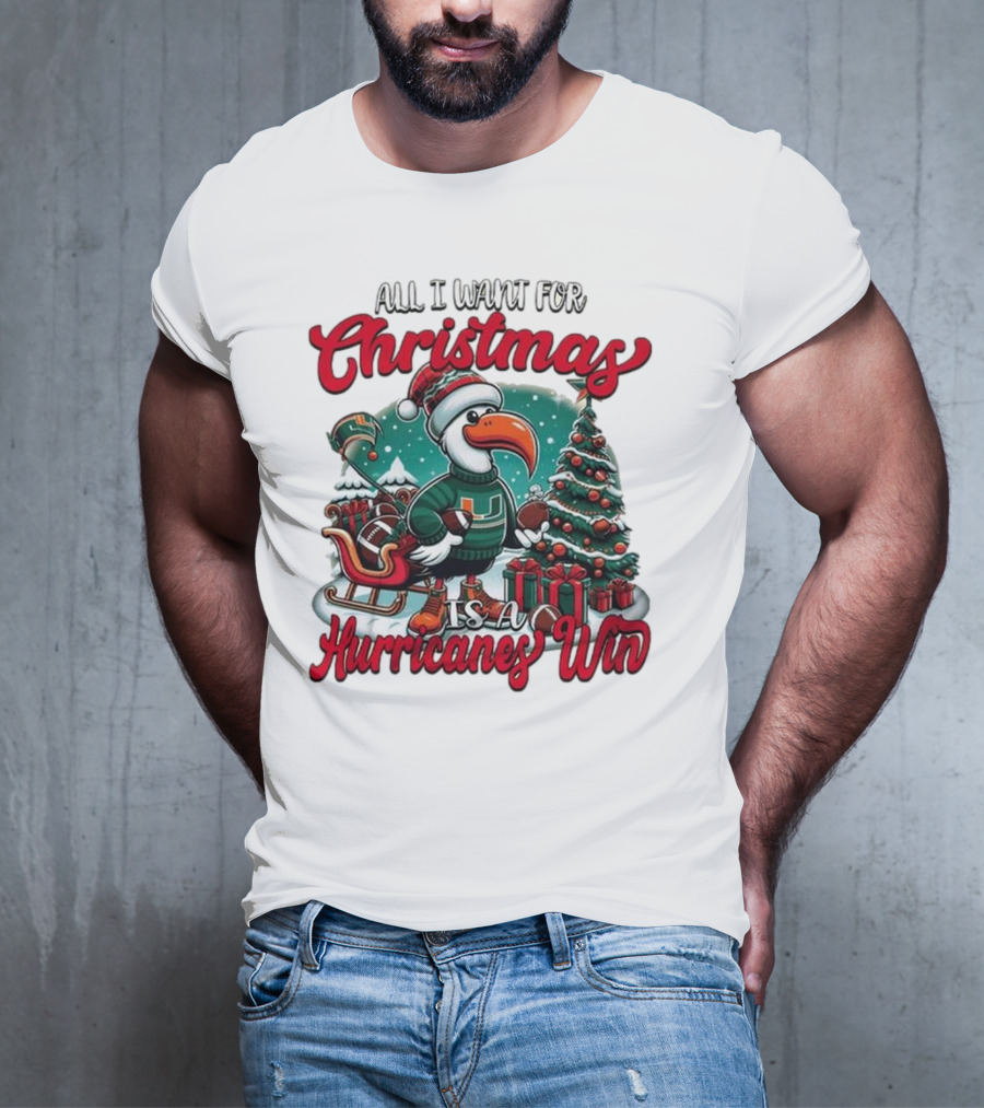 All I Want For Christmas Is A Hurricanes Win Santa Birdfest T-Shirt