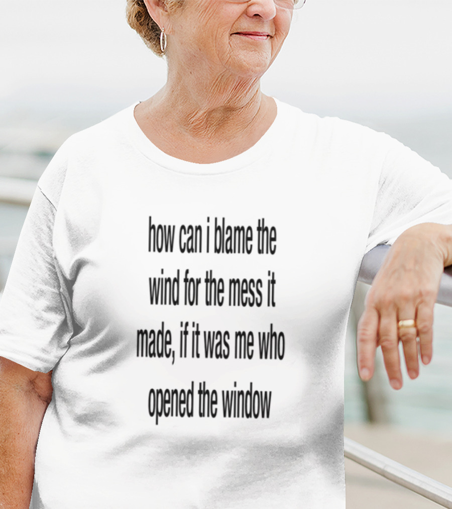 How Can I Blame The Wind For The Mess It Made Life On No Qualifications T-Shirt