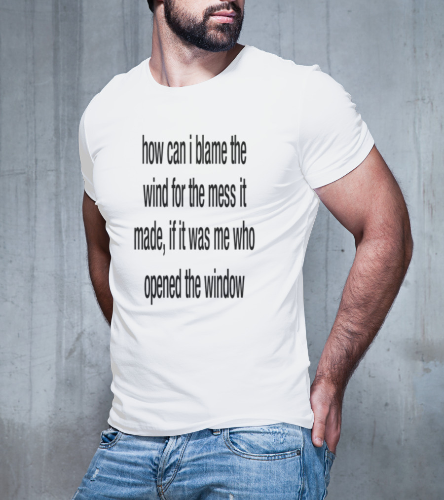 How Can I Blame The Wind For The Mess It Made These Never Needed To Begin With T-Shirt