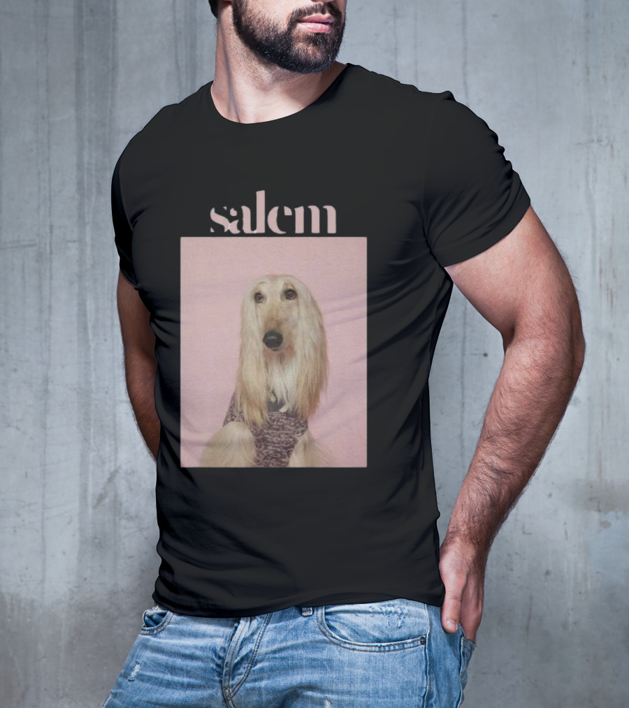 Salem Ilese Dog Afghan Hound Portrait On Pink Background T-Shirt