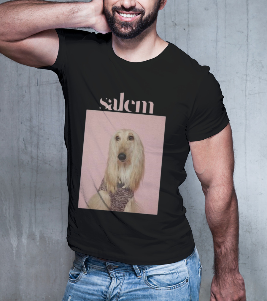Salem Ilese Dog Afghan Hound Portrait On Pink Background T-Shirt