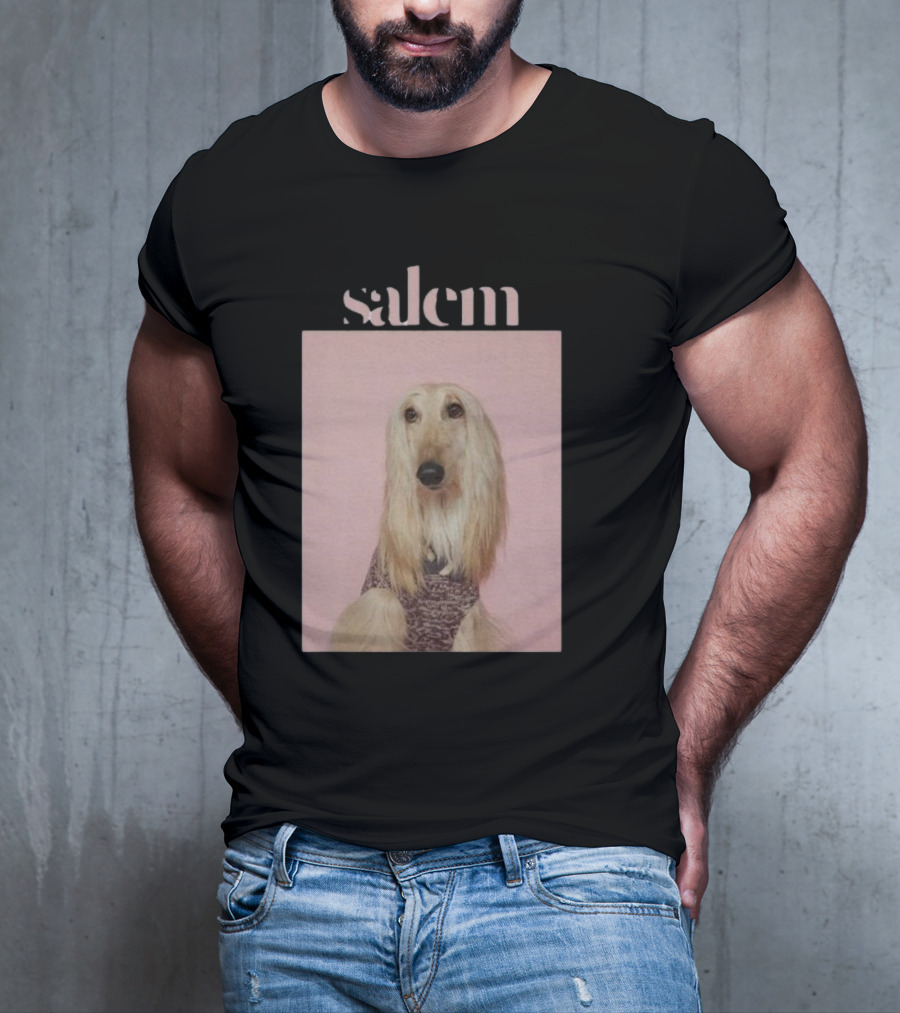 Salem Ilese Dog Afghan Hound Portrait On Pink Background T-Shirt