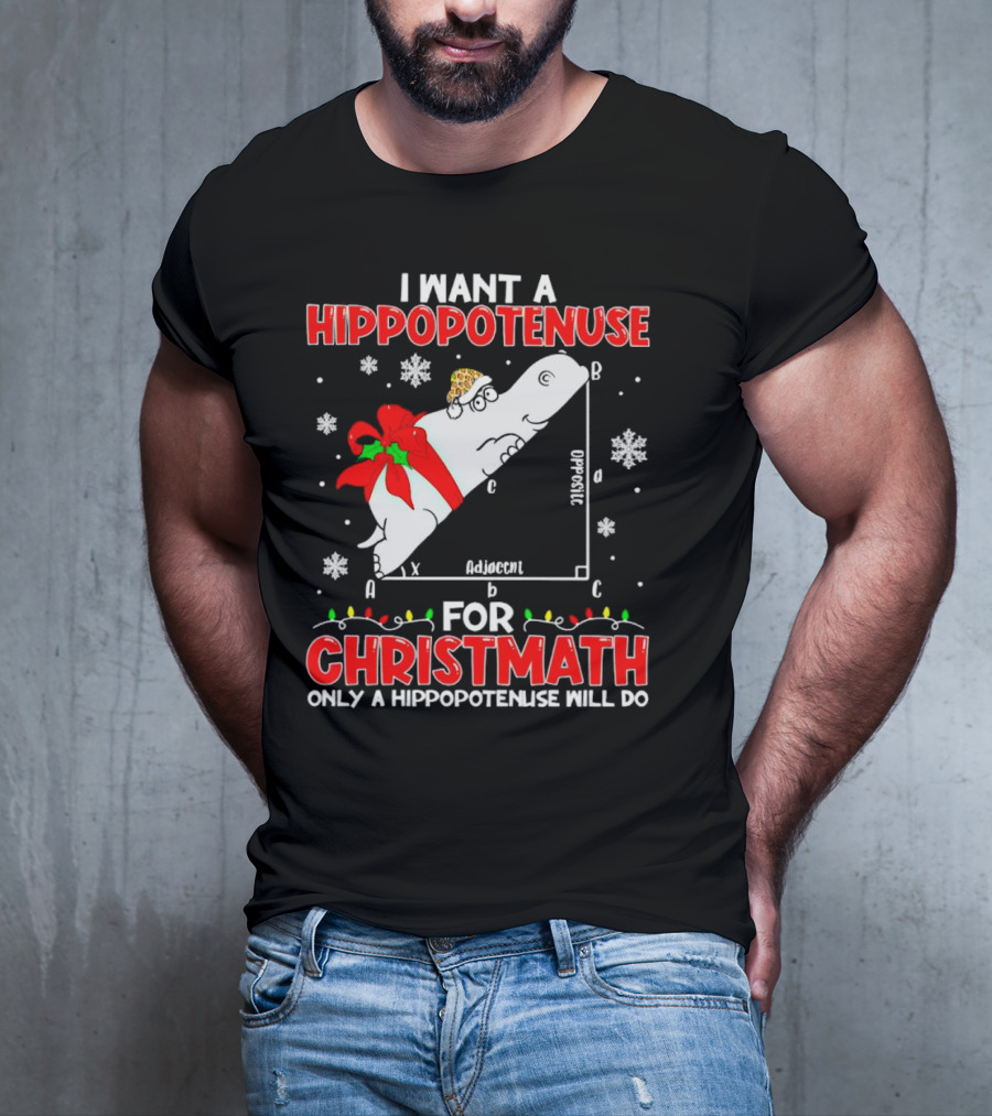 I Want A Hippopotenuse For Christmath Christmas Only A Hippopotenuse Will Do T-Shirt