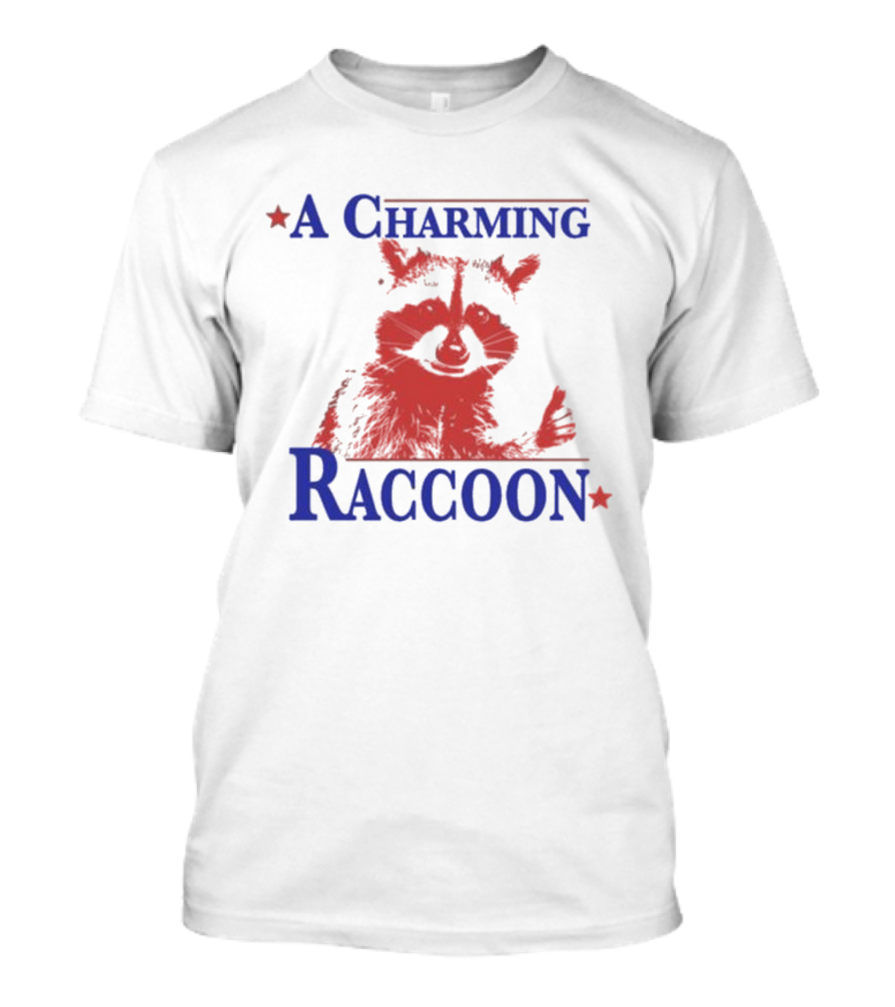 A Charming Raccoon Thumbs Up T-Shirt