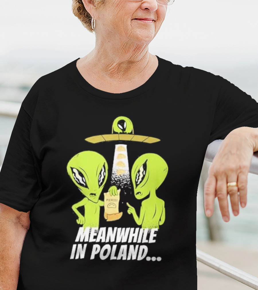 Meanwhile In Poland Alien Abduction Pierogi T-Shirt