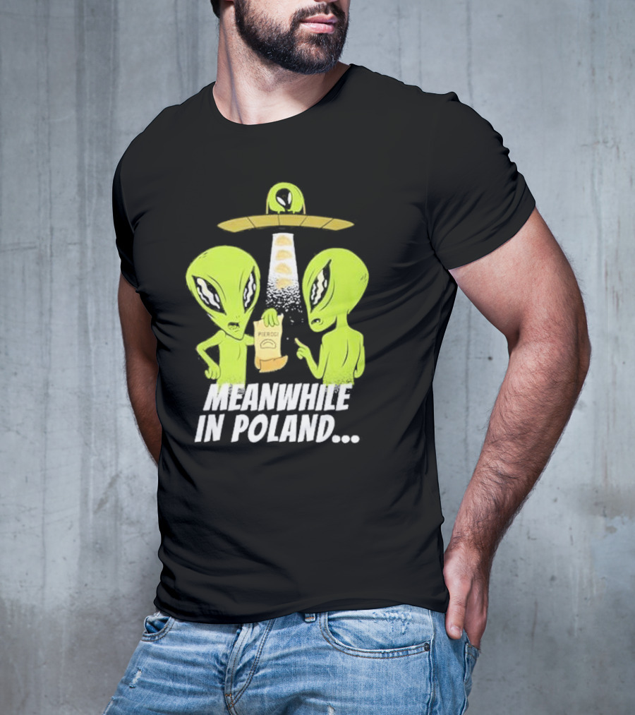 Meanwhile In Poland Alien Abduction Pierogi T-Shirt