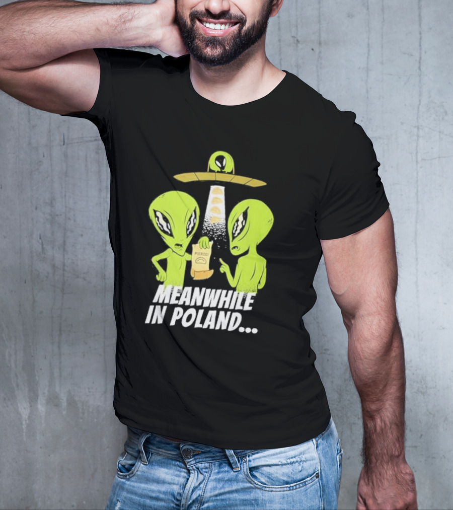 Meanwhile In Poland Alien Abduction Pierogi T-Shirt